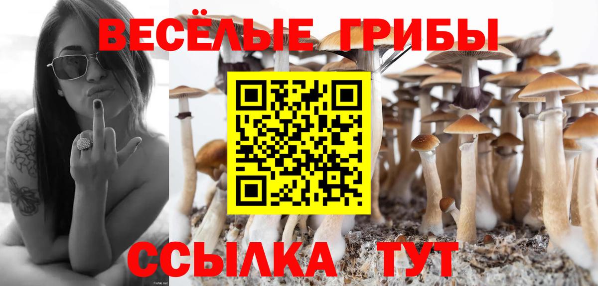 Псилоцибиновые грибы ЛСД Черемхово