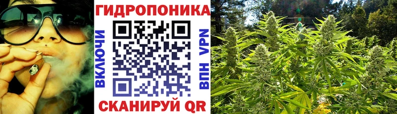 ОМГ ОМГ ТОР  Черемхово  Марихуана THC 21% 